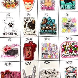 May include: A collection of colorful acrylic pins with various designs. Includes a dachshund, a capybara, a cat, a horse, a camera, a cowboy boot, a skeleton hand, and text that says "Mother of the Bride".