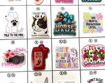 Acrylic Flat Backs, Interchangeable Acrylic, Badge Reel, Bad Word, Farm, Capybaras, Horse, 4:20, Funny, Camera, Mother of the Bride, Cat-144