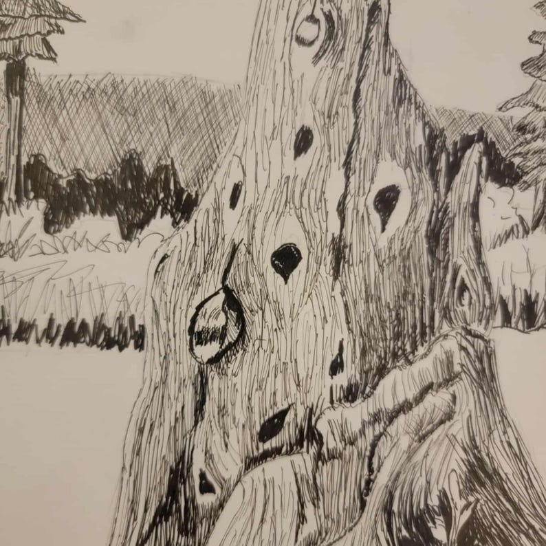 Pen & Ink Forest Art, Black and White Landscape Drawing, Mid Century ...