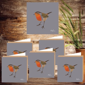 Set di 6 biglietti di auguri Robin