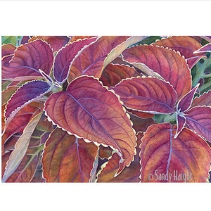 Original Framed Watercolor Painting, art, coleus, plant, leaves, burgundy, purple, gold, flower, botanical, home decor, wall art, gift, ART