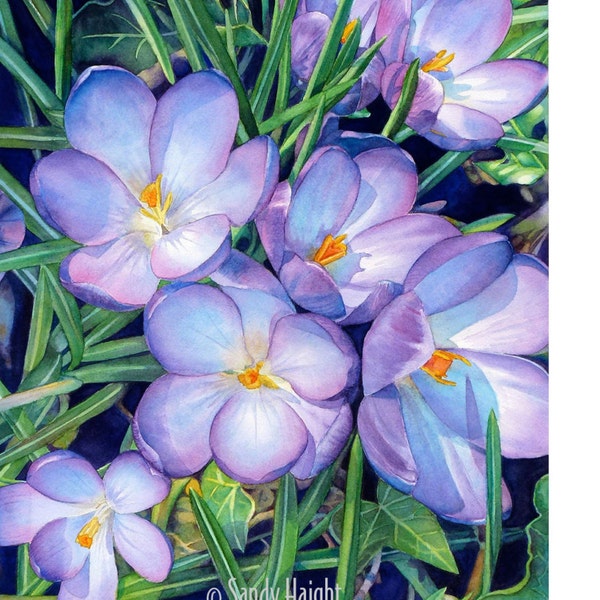 Original watercolor painting, Crocuses, art, spring, earth, flower, gift, gardener, botany, gardening, purple, green, realism, frame, decor