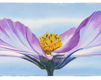 Original framed watercolor painting, Cosmos, flower, bloom, blue, magenta, wide horizontal format, large art, light,airy, gift, floral art