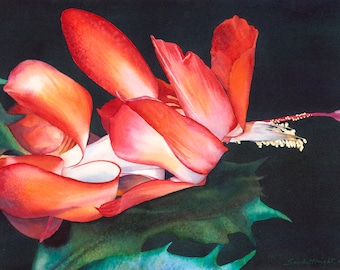 Original framed watercolor painting, Christmas cactus, open bloom, red, green, dark background, houseplant, flower, art, dramatic, wall art