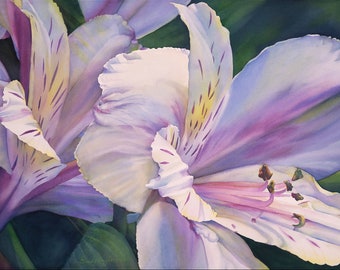 Original framed watercolor painting, Astroemeria, bloom, macro view, large size, art, pastel colors, botanical, wall art,  unframed, garden