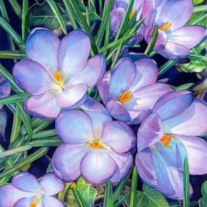 Framed Giclee Print of a Watercolor Painting, crocuses, art, flowers, floral, garden, spring, home decor, wall art, framed, purple, blue, 2D