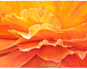 Giclee print of Original Watercolor Painting, unframed, rose, flower, sunrise, yellow, orange, abstract, garden, wall art, home decor, macro