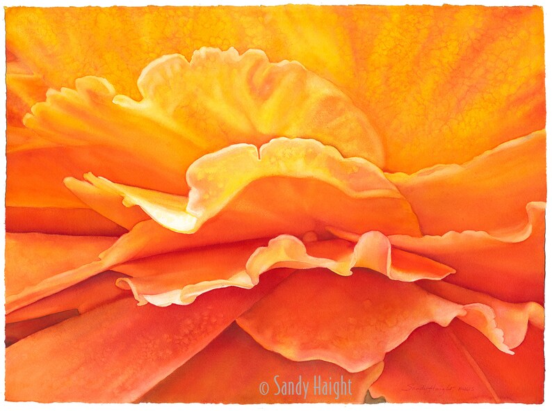 Impression giclée de peinture aquarelle originale, sans cadre, rose, fleur, lever de soleil, jaune, orange, abstrait, jardin, art mural, décoration intérieure, macro image 1