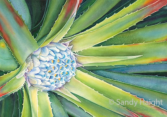 Original Watercolor of Aloe Bud, Painting, Art, Succulent, Flower, Floral,  GG Park, SF, Garden, Gift, Unframed, Home Decor, Wall Art, Greens - Etsy