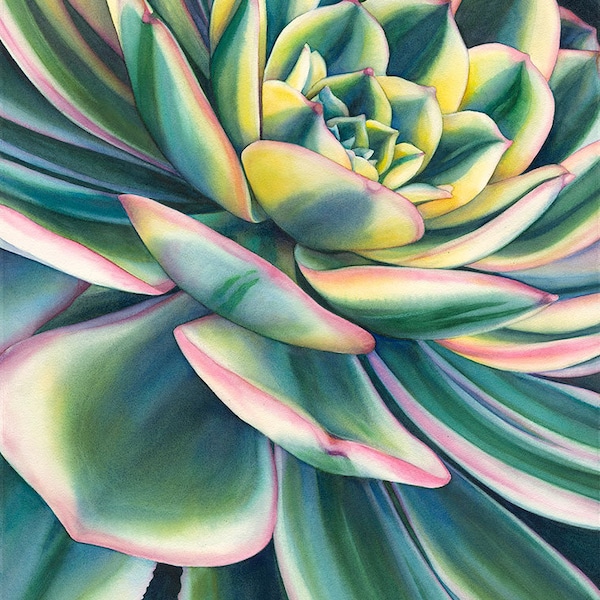 Original unframed painting, art, watercolor, large art, succulent, floral, flower, plant, botanical, garden, wall art, decor, gift, close up