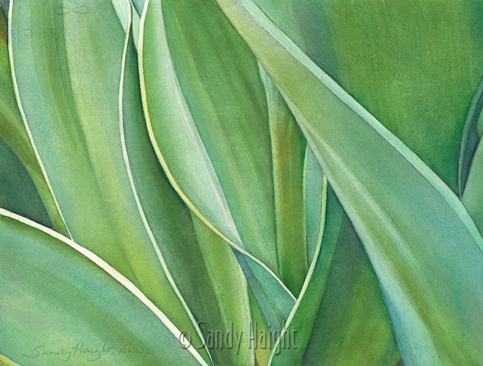 Original Watercolor, Tulip Leaves, Wall Art, Tulip, Green, Frame, Home