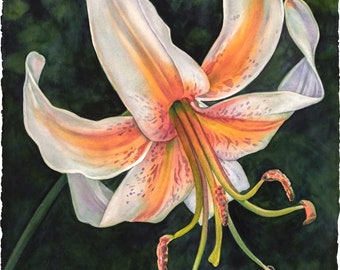 Giclee print of watercolor painting, lily, flower, floral, garden, dark background, botanical, dancing, art, large art, contemporary art