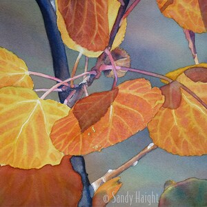 Original Watercolor, aspen, leaves, tree, Rockies, fall, orange, autumn, painting, wall art, home decor, gift, frame, Yellowstone, 2D, art
