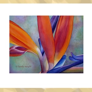 Original Framed Watercolor, Bird of Paradise, painting, flower, floral, tropical, garden, horticulture, gift, gardener, wall art, home decor