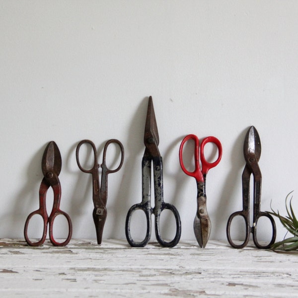 vintage tool collection, chippy industrial scissors, garden decor