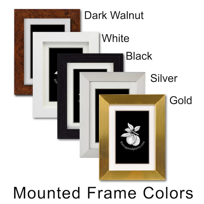 a set of five framed frames with the names of different frames