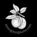 Becky SugaredPlums