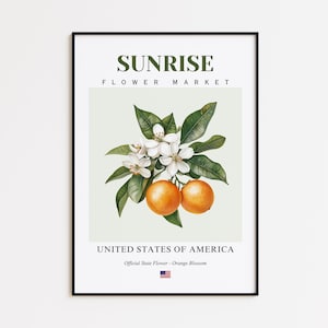 Sunrise Flower Market Poster, Orange Blossom Sunrise Flower Print, Sunrise Florida Botanical Wall Art Decor