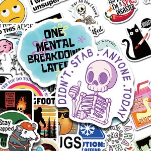 50/100PCS Funny Meme Stickers – Snarky Cartoon Decals for Phone, Scrapbook, Skateboard, Fridge, Suitcase & DIY Aesthetic Decor