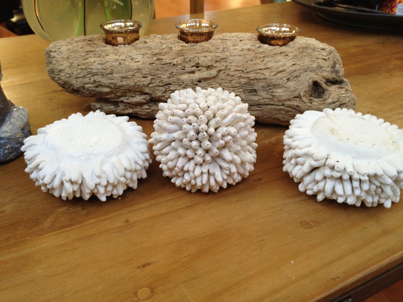 Ceramic hand sculpted urchin bowls