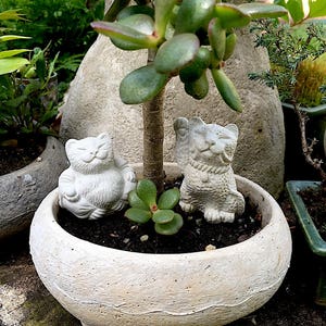 2 Mini Lucky Zen Cat Buddha and Maneki Neko Bonsai Statues