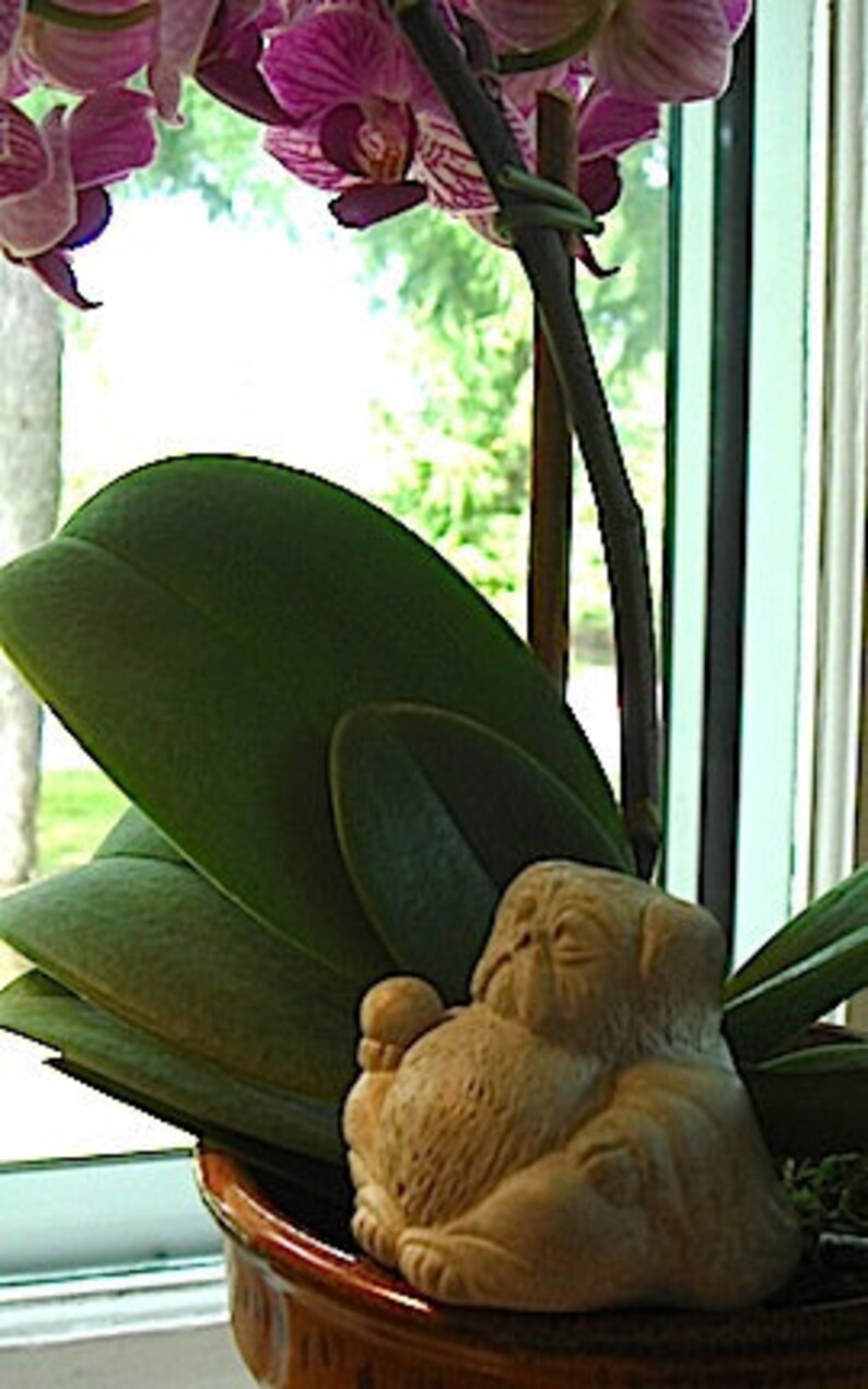 2 Mini Lucky Zen PUG Dogs Buddha and Foo Bonsai Statues Etsy