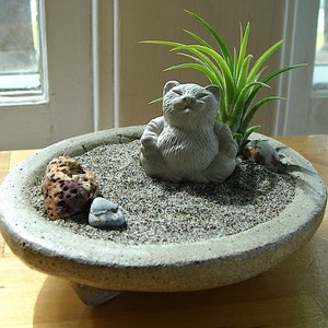 Lucky Cat Buddha Sculpture in Zen Garden Air Plant Terrarium / Cat Lover Gift