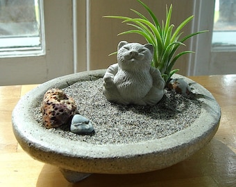 Lucky Cat Buddha Sculpture in Zen Garden Air Plant Terrarium / Cat Lover Gift