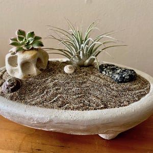 NEW! Zen Garden in Stone Bowl with Air Plant and Succulent