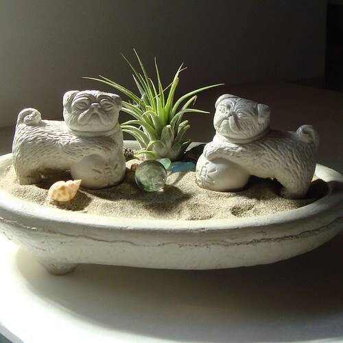 Pug Lucky Foo Dog Sculptures in Zen Dish Garden Air Plant Etsy
