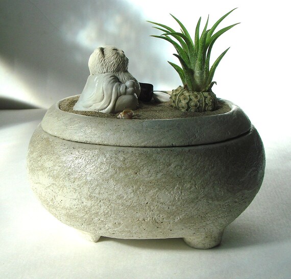 bonsai tree seeds Flowering Bonsai Tree Seed Bundle #1
