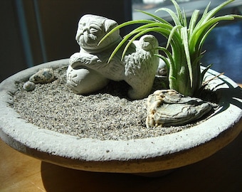 Lucky Pug Foo Dog Sculpture in Zen Garden Air Plant Terrarium