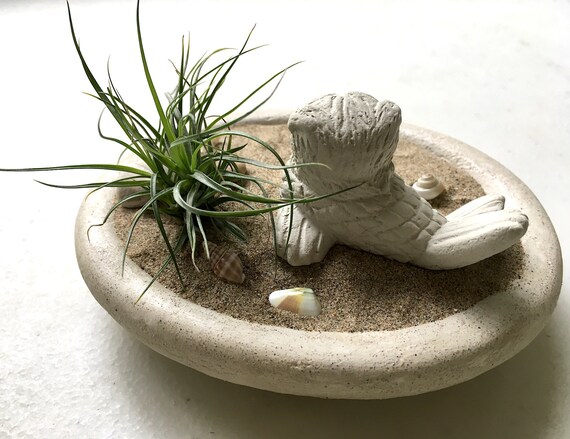 Buy Merpug Sculpture Zen Garden, Air Plant Terrarium - Pug Lover Gift  Online in India - Etsy