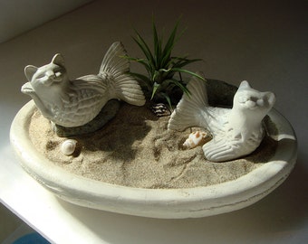 Cat Mermaid Mercat Sunbathing Cat Fish with Air Plant Concrete Bowl Terrarium