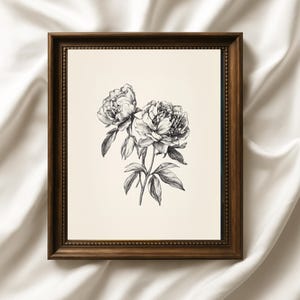 Stampa artistica di schizzo di peonia antica / Disegno botanico floreale vintage / Decorazione da parete con fiori in bianco e nero / Download digitale