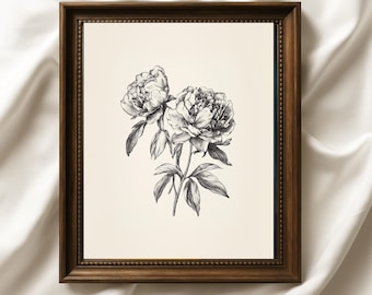 Peony Sketch Art Print: Vintage Black and White Floral Line Drawing (Digital Download)