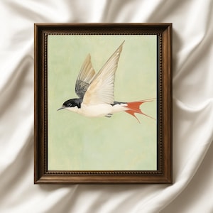 Vintage Swallow Wall Art | Bird Print Poster | Art Deco Bird Lithograph | Vintage Bird Illustration | Swallow Canvas Wall Decor