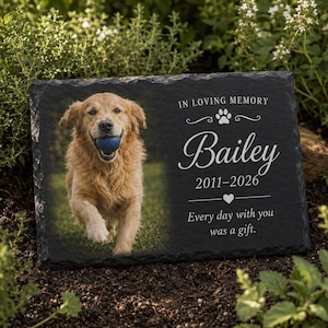 May include: A rectangular black slate memorial plaque featuring a color photograph of a golden dog holding a blue ball. The text reads IN LOVING MEMORY, Bailey, 2011-2026, and Every day with you was a gift, accompanied by a paw print and heart icon.
