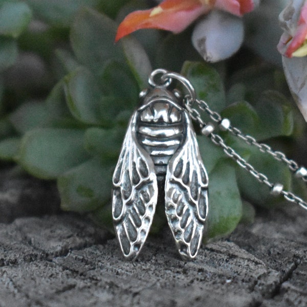 Cicada necklace, Cicada, Brood Cicada, entomologist, cicada wing, bug necklace, 17 year cicada, renewal, rebirth, transformation necklace