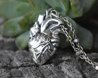 Anatomical Heart, Heart necklace, Anatomical Heart necklace, real heart charm, realistic heart, human heart, cardiology, heart jewelry