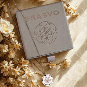 Sacred Geometry Necklace in Stainless Steel | Spiritual Amulet | Mystical and Symbolic Jewelry | Meaningful Gift