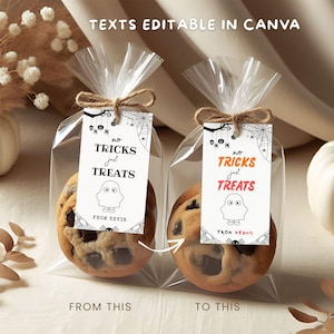 May include: Two cellophane bags each containing chocolate chip cookies. Each bag is tied with twine and a tag that reads "no tricks just treats" with a ghost illustration. One tag says "From Kevin" and the other says "From Megan".