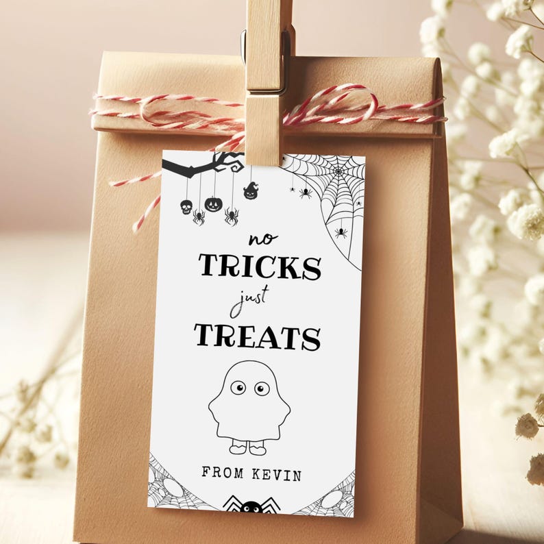 May include: A brown paper gift bag with a tag that reads "no tricks just treats" and a ghost illustration. The tag is held by a wooden clip and red and white twine. The tag also says "from Kevin".