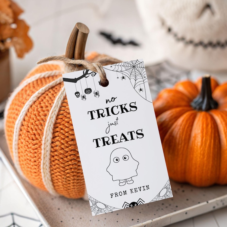 May include: Orange knitted pumpkin with a twine stem and a tag that reads "no tricks just treats" with a ghost illustration. A smaller orange pumpkin is next to it. The tag says "From Kevin". Halloween-themed decor.