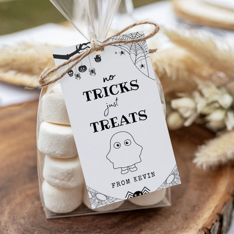 May include: A clear cellophane bag filled with marshmallows, tied with twine, and a white tag. The tag reads "no tricks just treats" with a ghost illustration and "from Kevin". The tag has spiderwebs and spiders.
