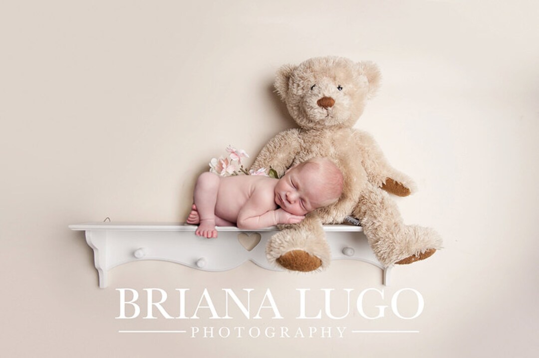 Digital Newborn Shelf Prop - Etsy