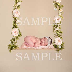 Digital newborn prop