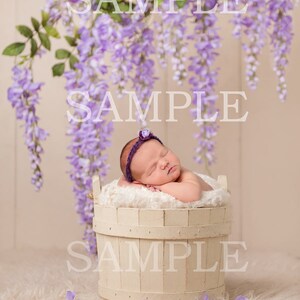 Digital newborn flower prop