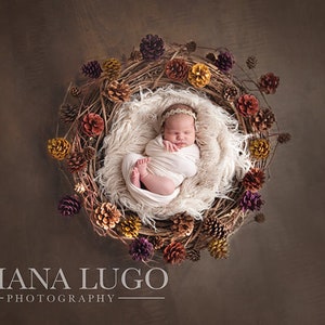 SALE Digital newborn pinecone prop