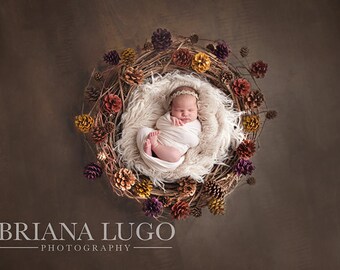 SALE Digital newborn pinecone prop